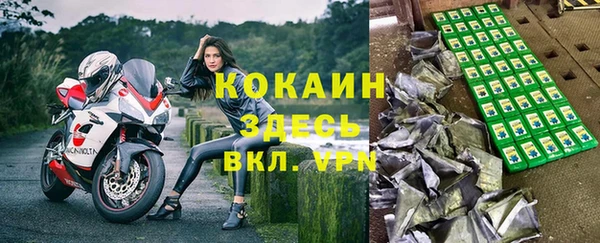 стафф Абинск
