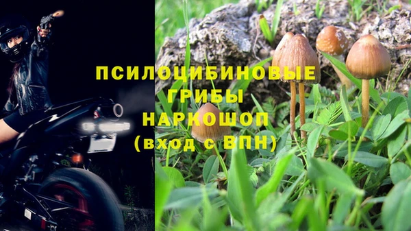 стафф Абинск