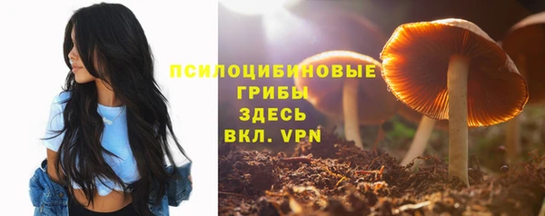 гидропоника Абаза