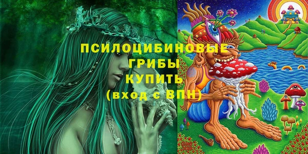 гидропоника Абаза