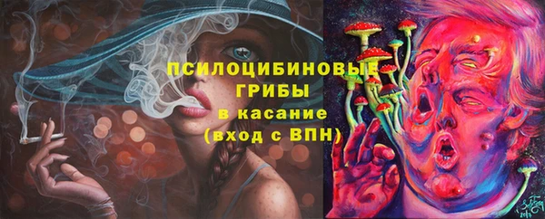 стафф Абинск