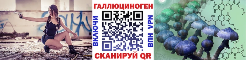 где найти   Ялуторовск  Псилоцибиновые грибы Psilocybine cubensis 